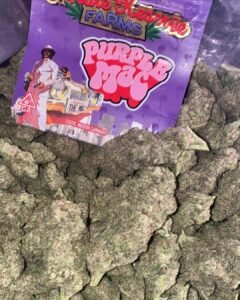 Purple Mac Strain Exotic Cannabis Online Shop Purple mac strain